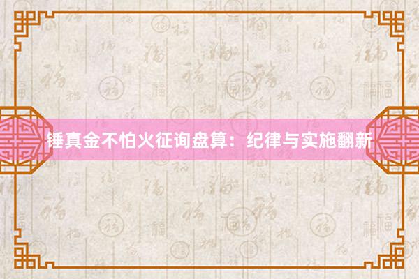 锤真金不怕火征询盘算：纪律与实施翻新