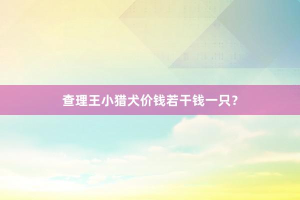 查理王小猎犬价钱若干钱一只？