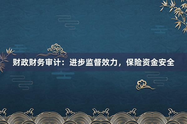 财政财务审计：进步监督效力，保险资金安全